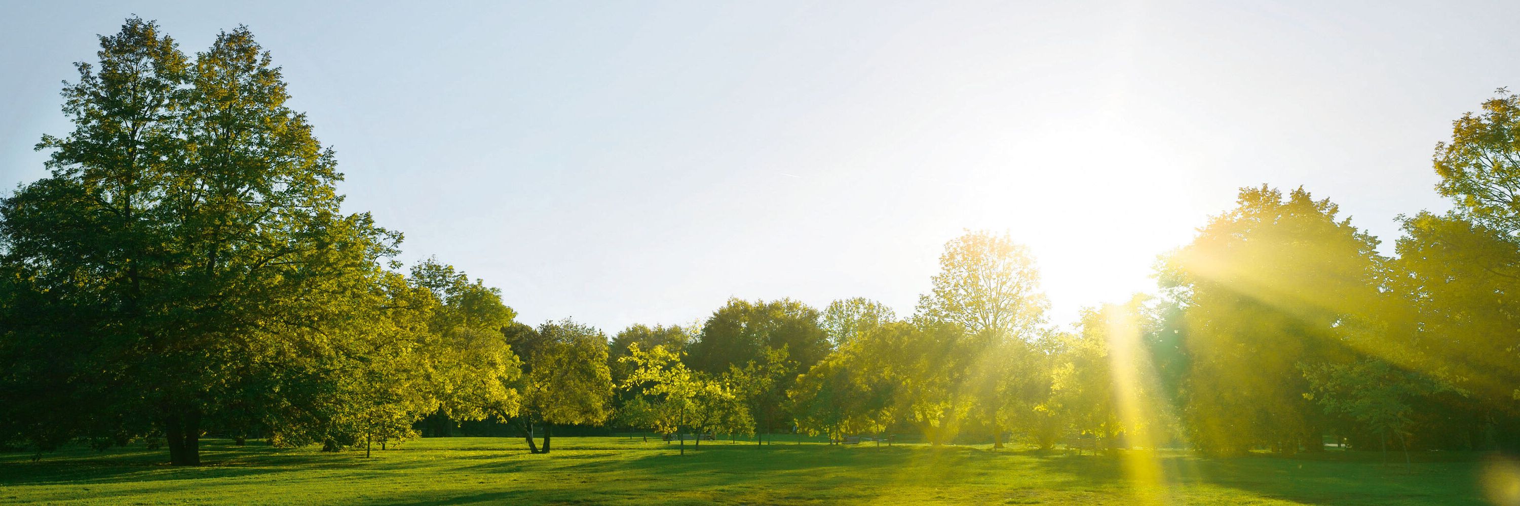 Imagem paisagística com o nascer do sol  