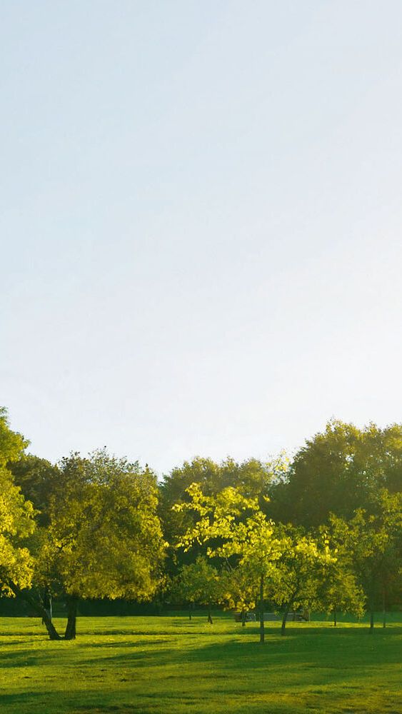 Imagem paisagística com o nascer do sol  