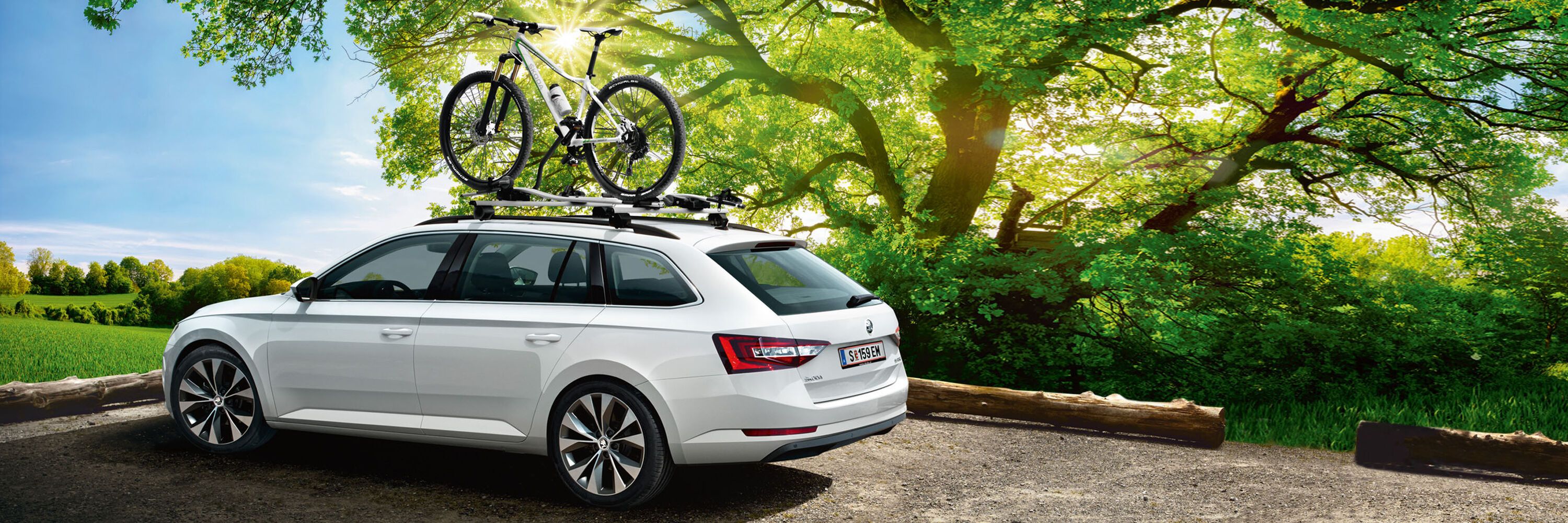 Ein weißer Škoda mit Fahrrad-Dachträger vor einem Baum