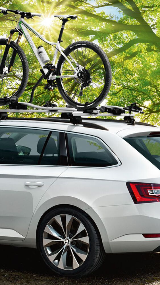 Ein weißer Škoda mit Fahrrad-Dachträger vor einem Baum